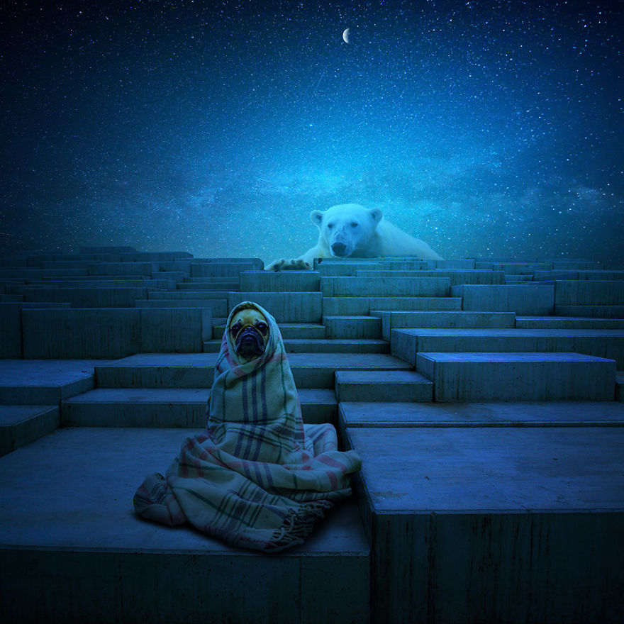 خلق دنیاهای تخیلی برای حیوانات