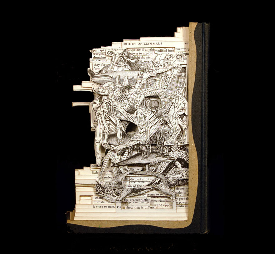 ((جراحی کتاب))، استفاده از وسایل جراحی برای خلق مجسمه های شگفت انگیز ساخته شده از کتاب