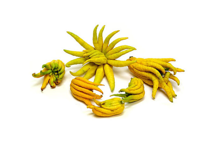 عجیبترین میوه ها و سبزیجات در سرتاسر جهان