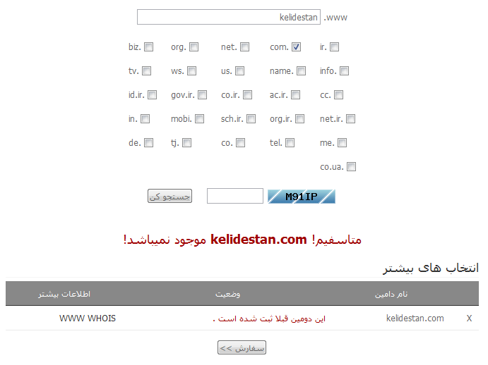 قرار دادن سایت بر روی اینترنت