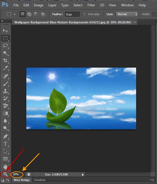بزرگنمایی (zoom) یک عکس، در Adobe PhotoShop