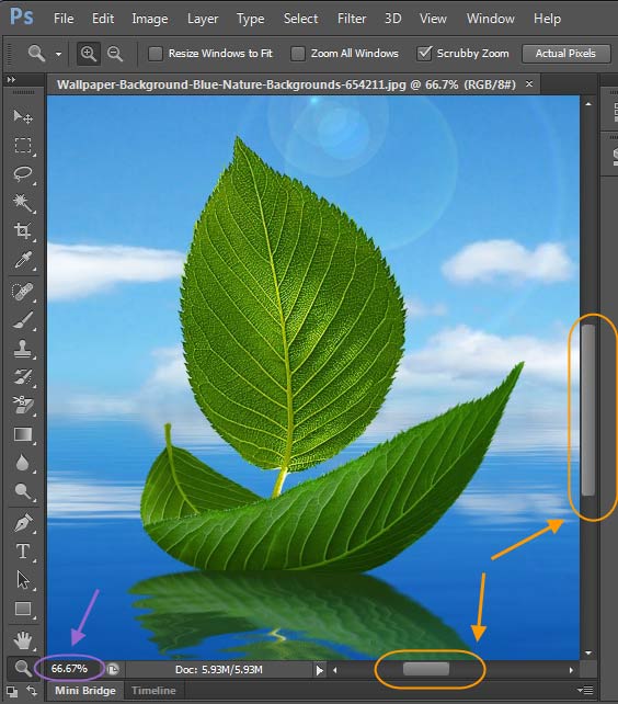 بزرگنمایی (zoom) یک عکس، در Adobe PhotoShop