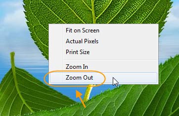 بزرگنمایی (zoom) یک عکس، در Adobe PhotoShop