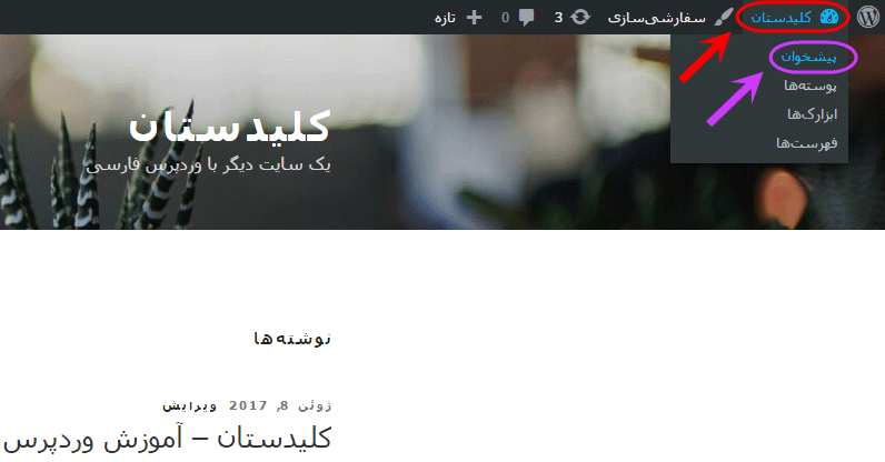 ویرایش پوسته (Theme) انتخاب شده فعلی (و یا سایر پوسته ها)، با گزینه های گرافیکی تنظیمات مربوط به آن در کنترل پنل (پیشخوان)، در وردپرس (WordPress)