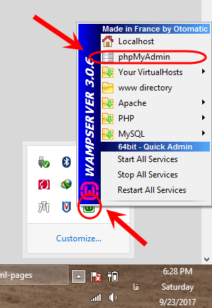 اجرای دستورات (query های) SQL ، با استفاده از phpMyAdmin  موجود در نرم افزار شبیه ساز سرور (Server) نصب شده بر روی کامپیوتر شخصی