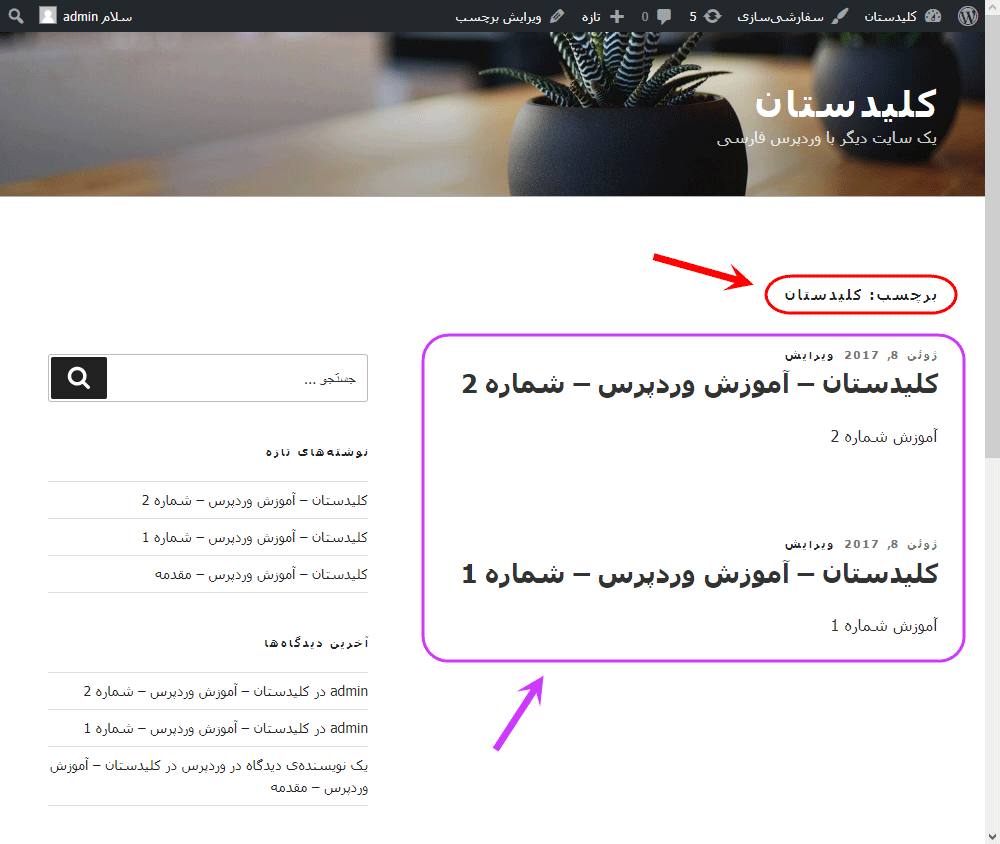 افزودن برچسب (تگ - Tag) به نوشته (Post)، در وردپرس (WordPress)