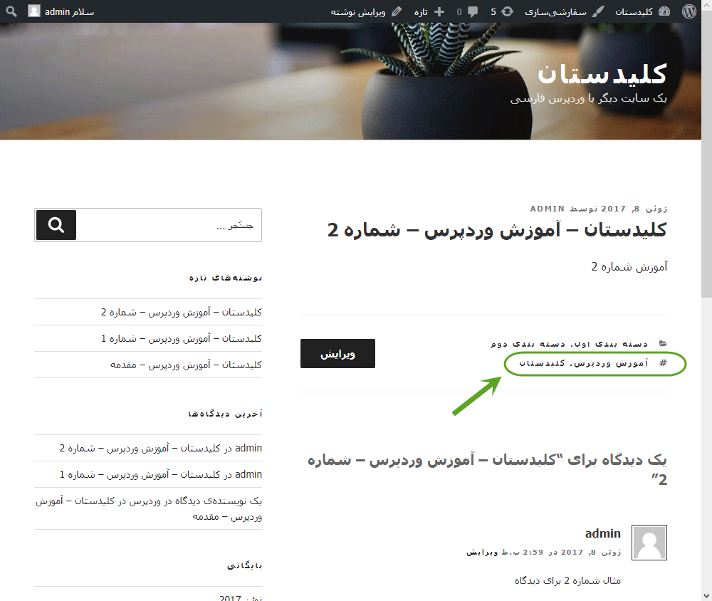 افزودن برچسب (تگ - Tag) به نوشته (Post)، در وردپرس (WordPress)