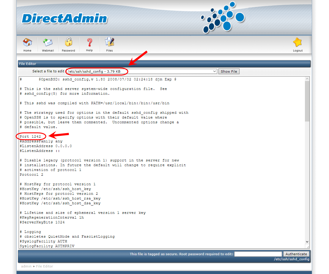 تشخیص شماره پورت (Port) مربوط به ارتباط با سرور (Server) لینوکس (Linux) از طریق SSH ، در کنترل پنل DirectAdmin (با دسترسی admin)